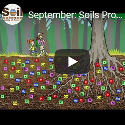 Video Screenshot