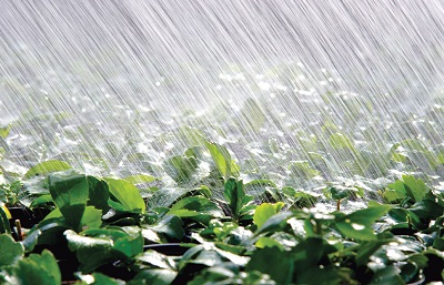 降雨は気候の一部