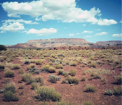 desert scape