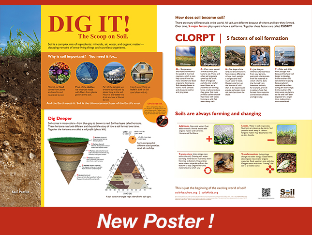 soil profile for kids