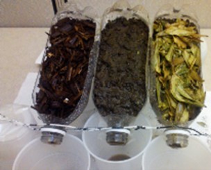 erosion activity image