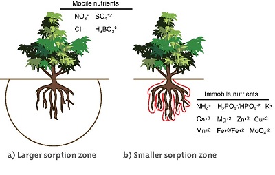 plant nutrients move in the soil