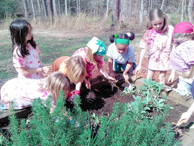 planting a garden