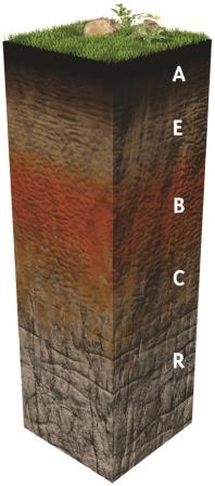 Soil profile