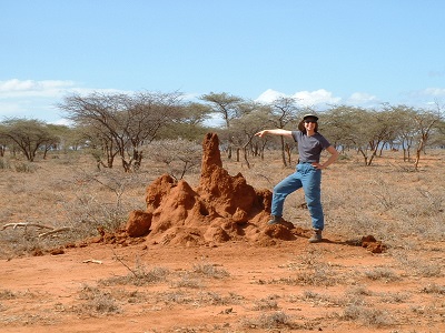 Termites can radically change a landscape.