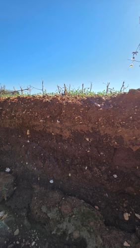 roadside soil profile