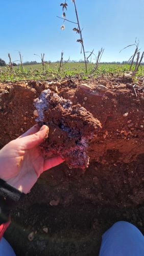 Ice in Soil Pores