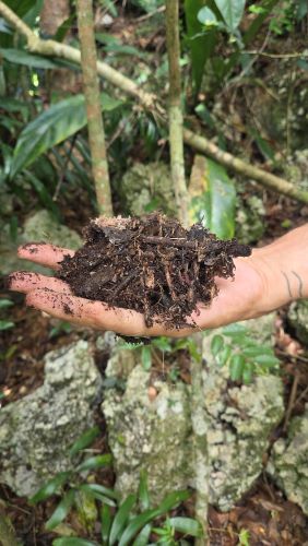 A Handful of Organic Matter